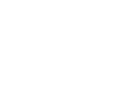 Full height glass turnstiles icon