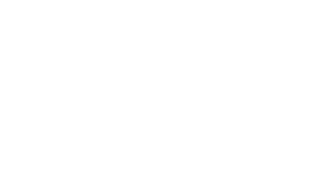 Pedestrian speed gates icon