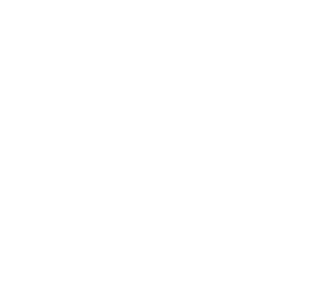Security doors icon