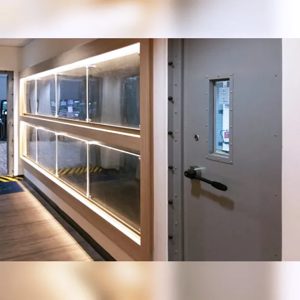Gas tight door providing sealed access for containment and pressure protected environments